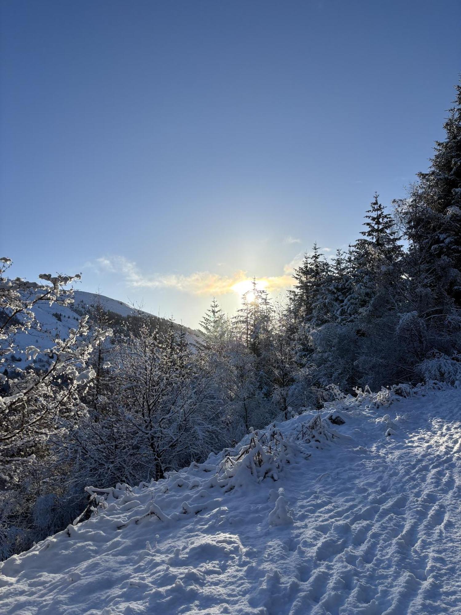 Bright Star Lodge Спийн Бридж Екстериор снимка